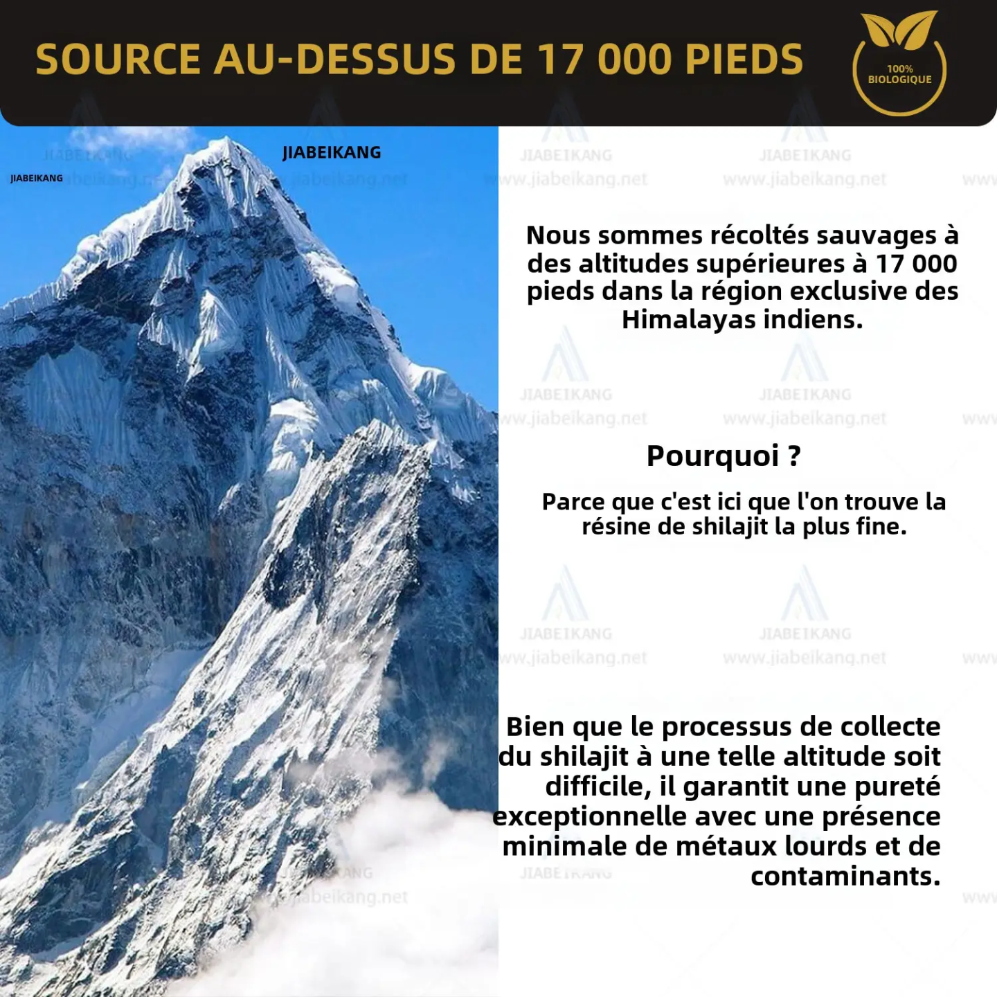 🌟 SHILAJIT PURE STICK GAMME OR – Miel d'Acacia & Safran du Kashmir - FORCE, ÉNERGIE & VITALITÉ NATURELLE