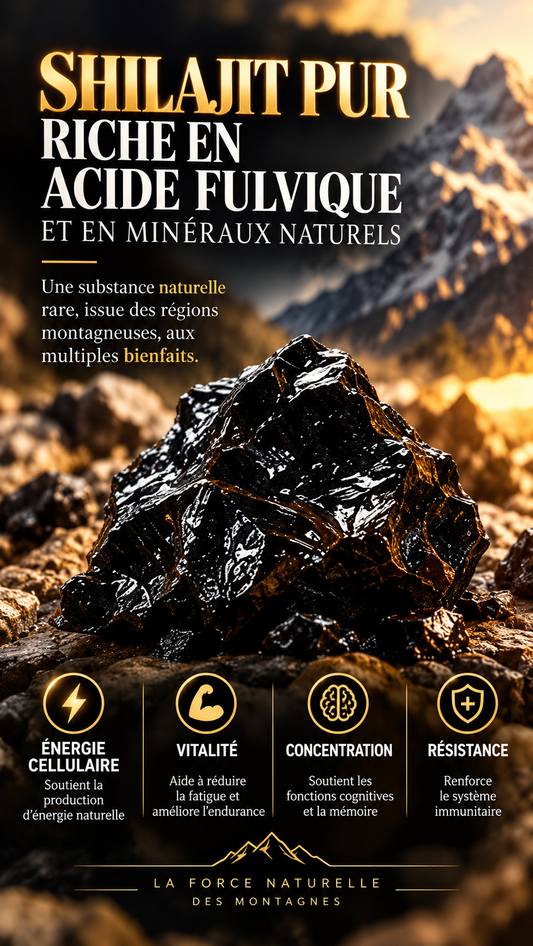 🌟 SHILAJIT PURE STICK GAMME OR – Miel d'Acacia & Safran du Kashmir - FORCE, ÉNERGIE & VITALITÉ NATURELLE
